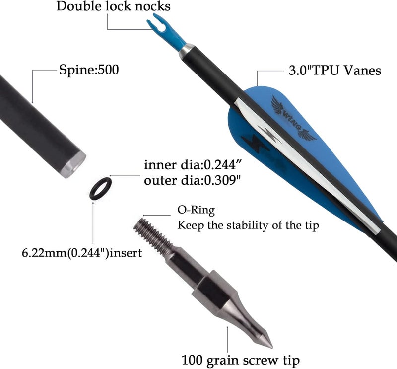 e5e10 31inch Carbon Arrow Archery Targeting Practice Hunting Arrows for Compound & Recurve Bow with Removable Tips(Pack of 12) - Image 2